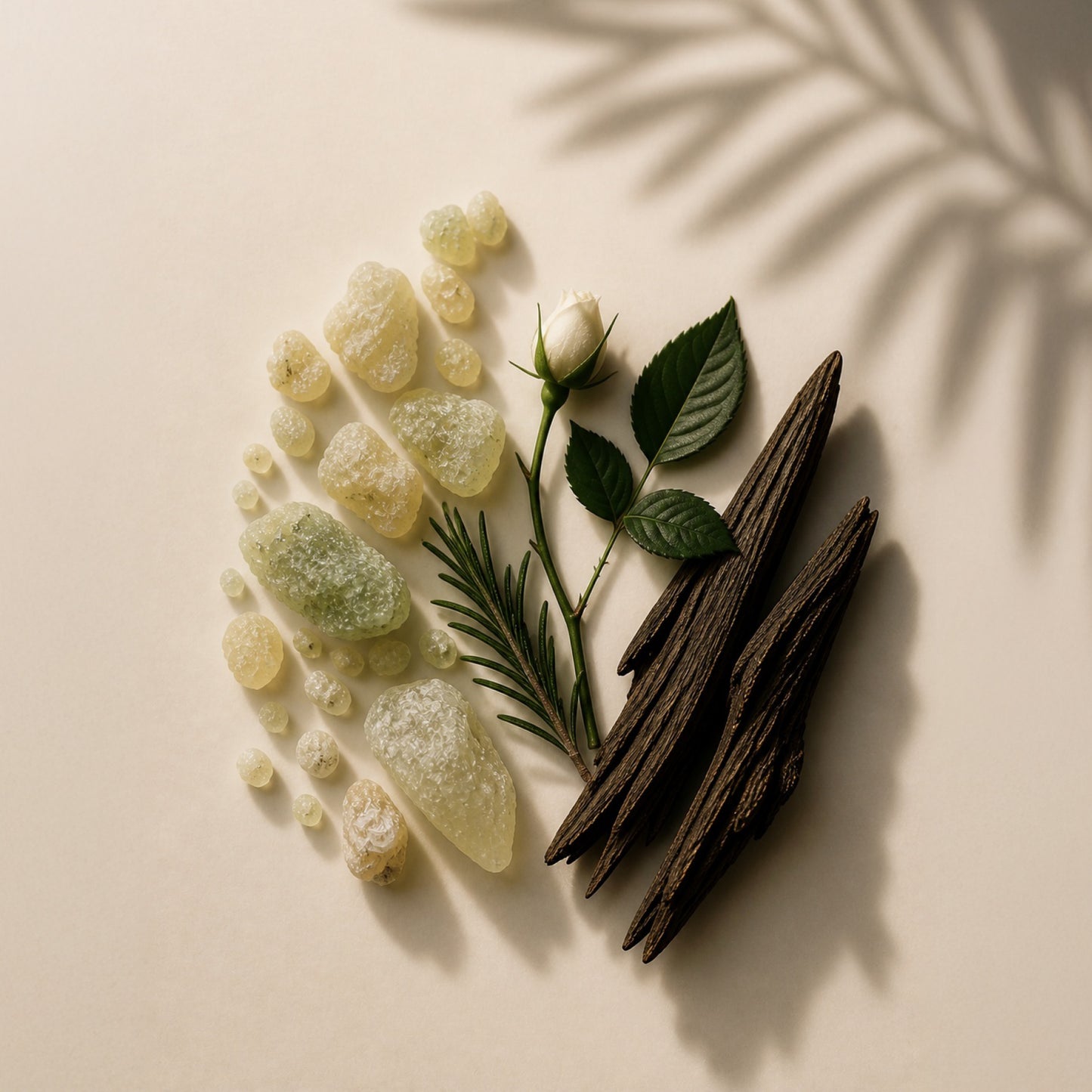 AMAPOLA PERFUME OIL